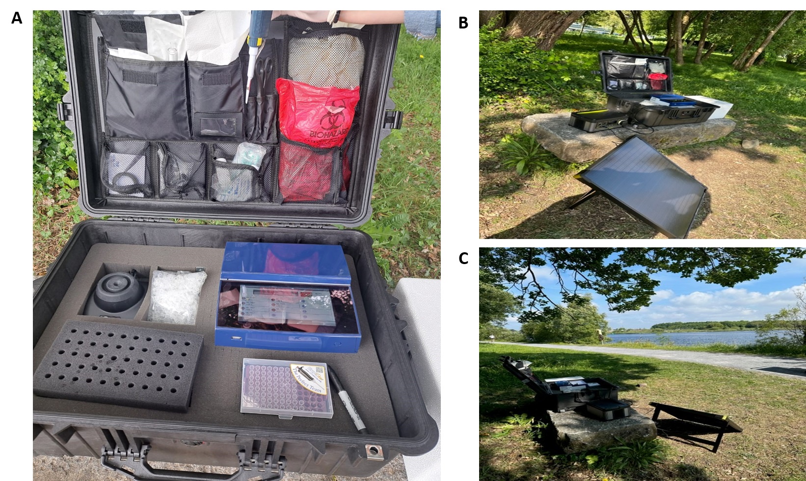 Innovative portable LAMP-based Technology for On-Site pathogen detection.