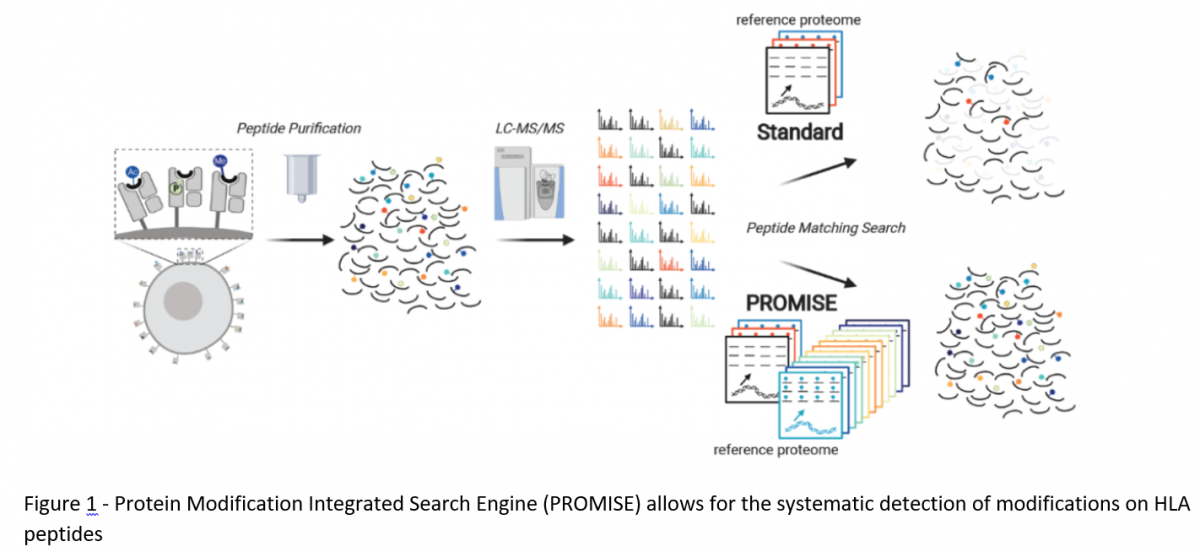 Search Engine for New Anti-Cancer Targets