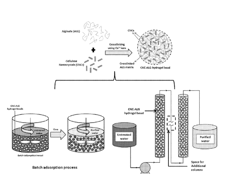 Pristine and surface functionalized cellulose nanocrystals (CNCs) incorporated hydrogel beads