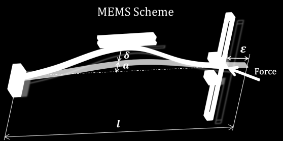 Novel sensor for in vivo nano-mechanical characterization