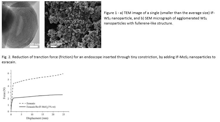 Inorganic Fullerene Coating For Medical Devices