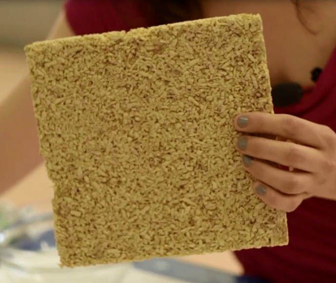 New biobased insulation material from vegetal pith and natural binders