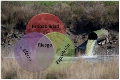 Aquatic ecotoxicology and ecological risk assessment
