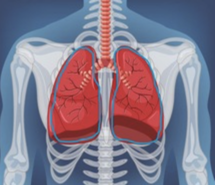FIBRACTANT – A New Synthetic Lung Surfactant