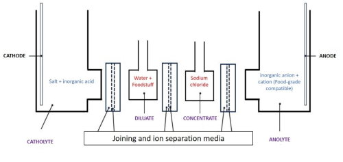 Device for desalting salted foodstuffs