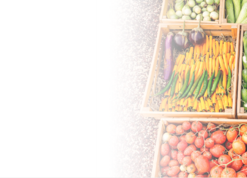 Joining up science across domains to deliver actionable interventions for young people mental health (University of Cambridge, IFM, UK)