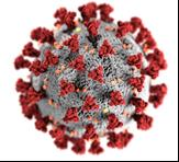 Nanoparticles with antiviral activity against coronavirus