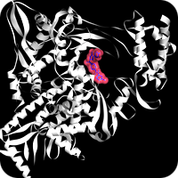 SARS-CoV-2 RNA-dependent RNA Polymerase Targeted Library